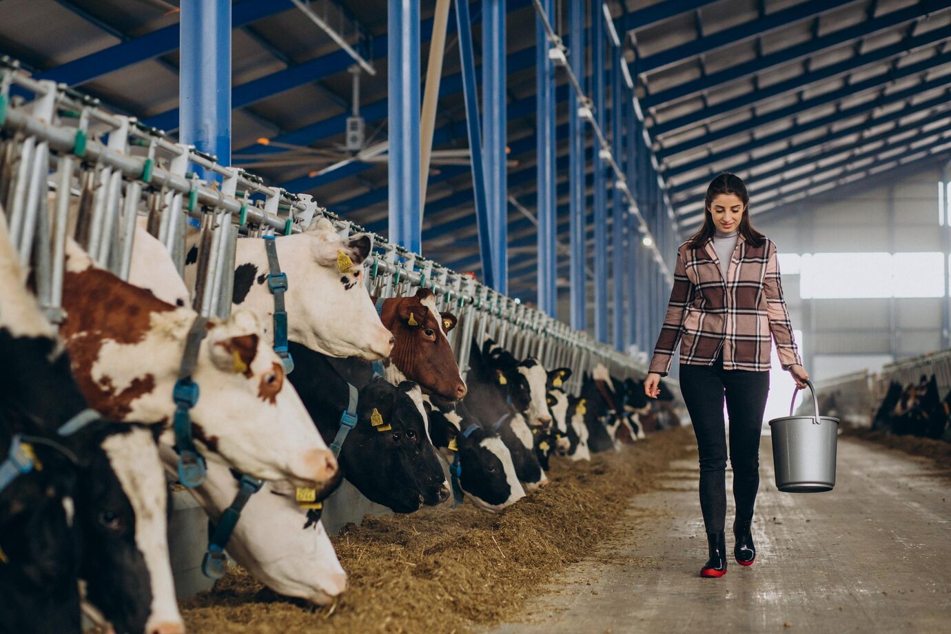 Hayvan Refahı ve Verimliliği İçin Akçamar Metal Çözümleri